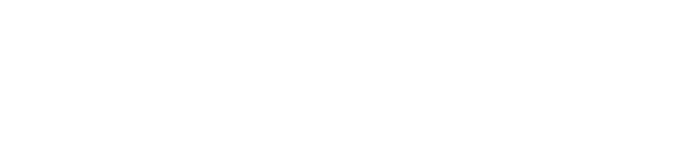Logo_White_Small_Checkpoint.png