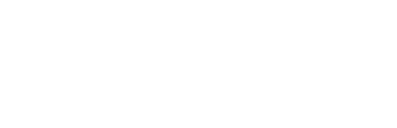 Optiv Con Virtual