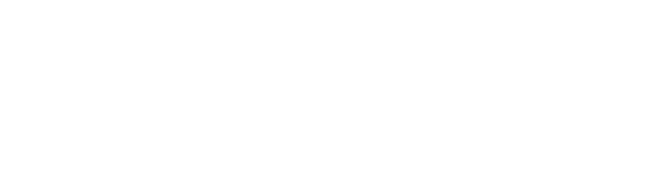 Salt_logo_white_RGB.png
